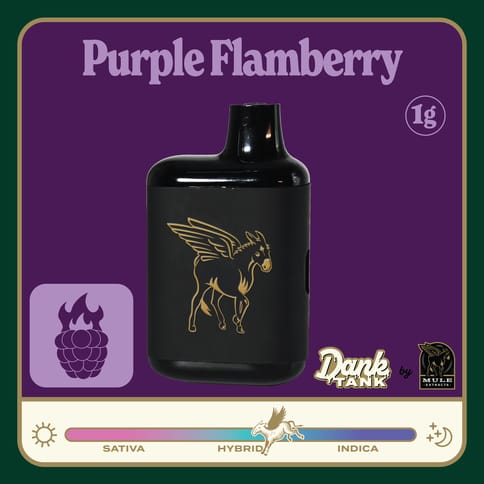 Purple Flameberry 1g Live Resin Dank tank (Mule)