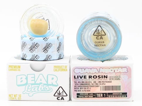 BEAR LABS - ROSIN BADDER - GUAVA NECTAR TIER 1 - 1G
