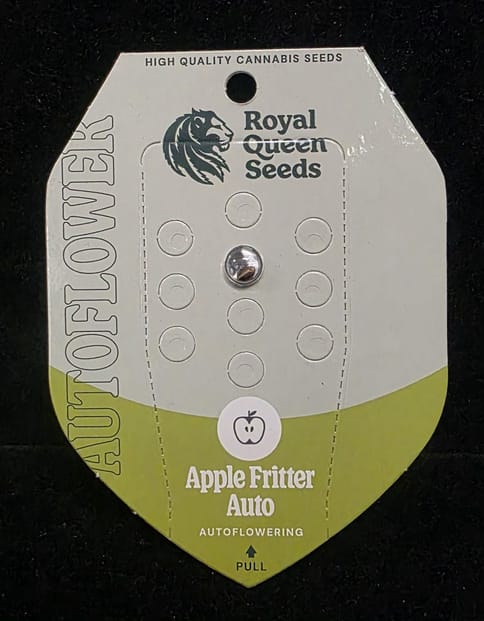 Auto Flowering Seeds - Apple Fritter Auto