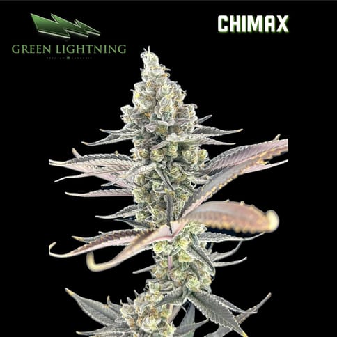 Chimax - Smalls (7g)