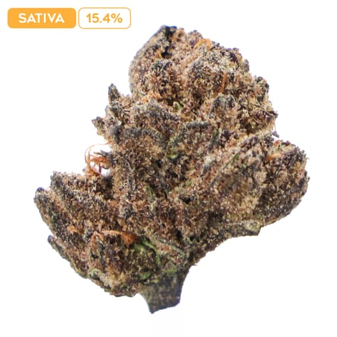 Guava 4g