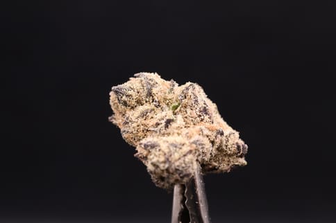 Grape Gas (High Ridge Farms)