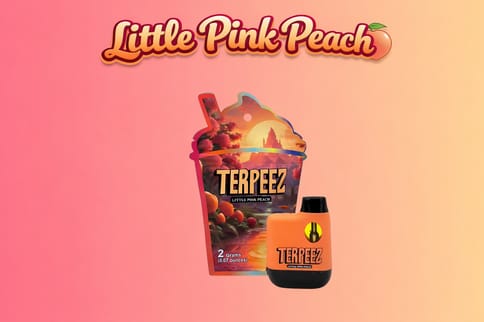 Lemon Lime 2g Disposable (Terpeez)