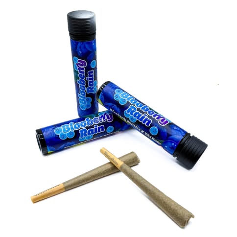 Big Ern's | 1G Pre-Roll: Blooberry Rain