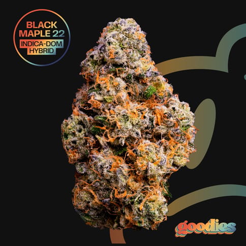[Goodies] Black Maple 22 | 7g