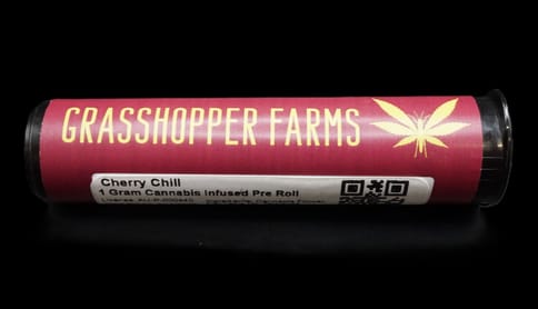 Orange Sherbet (Infused Pre Roll)