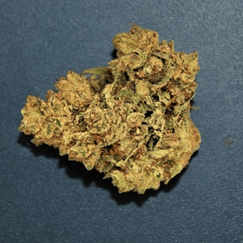 Galenas | Bulk | Bridge Buds