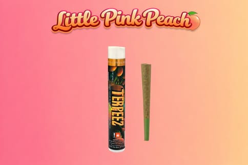 Little Pink Peach 1G Infused Preroll (Terpeez)