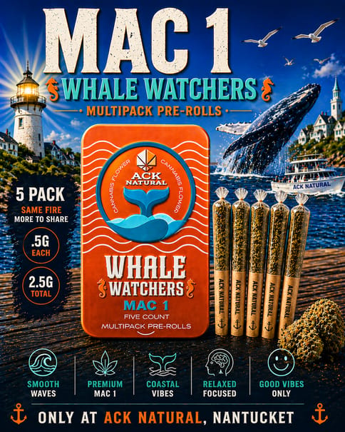Mac 1 S26 - Whale Watchers 2.5G