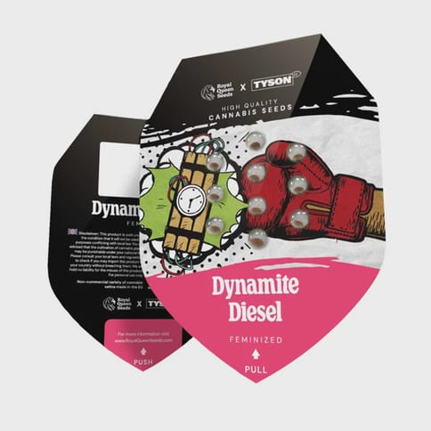 Royal Queen Photoperiod seeds 3 pk - Dynamite Diesel