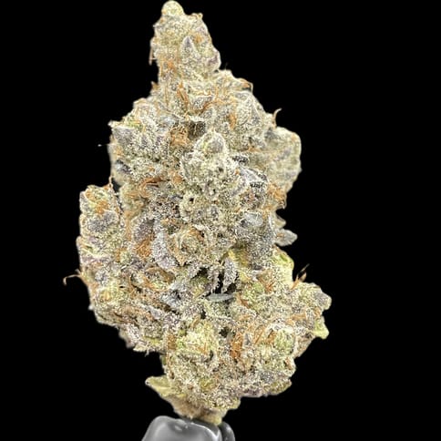 Lizard Burger (High Ridge Farms)