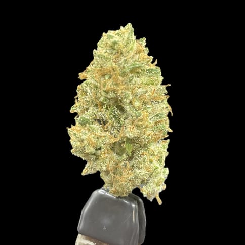 Mt. Hood Magic Durban (Resin Ranchers)