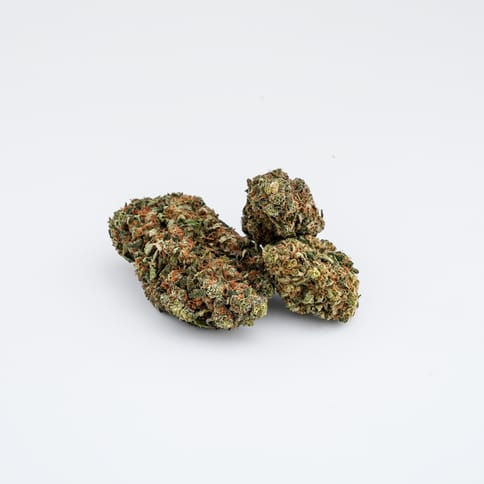 Gummibears | Deli | Erba |