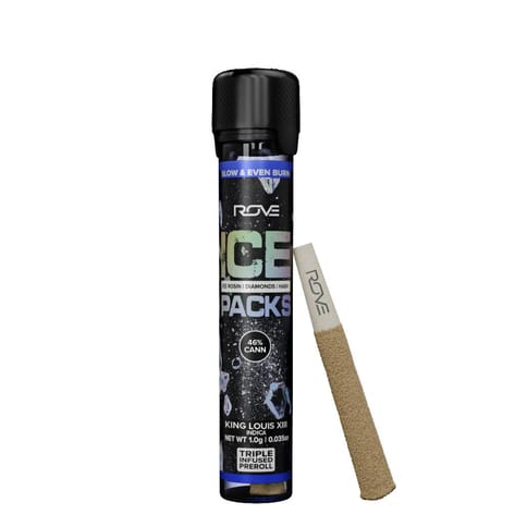 King Louis XIII