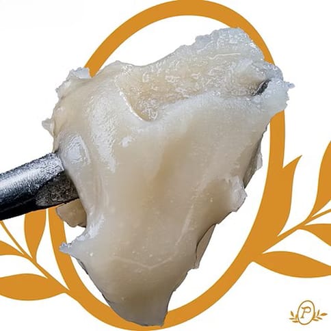 G-13 Skunk Live Rosin | 1g
