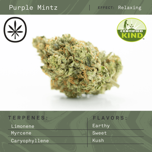 Apothecare Certified Organic Purple Mintz