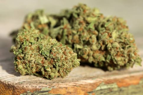 (REC) Motor Breath - 3.5g