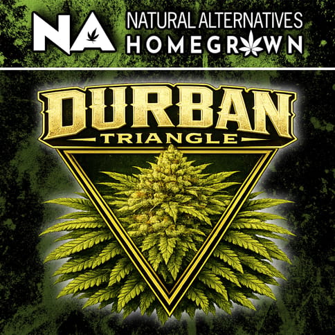 NA Durban Triangle