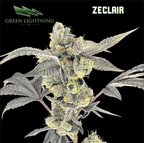 Zeclair (3.5g)
