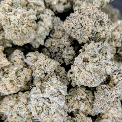 Hypnotic - Deli Flower - $3/g