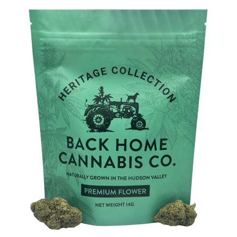 Back Home Cannabis Co. | Jack Herer | 14g Flower