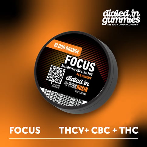 Dialed In Focus 1:1:1 THCV:CBC:THC Gummies | Blood Orange 100mg Rec