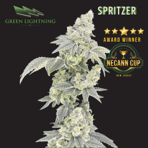 Spritzer (3.5g)