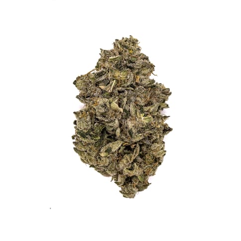 Gelatti Mints ~ Bulk