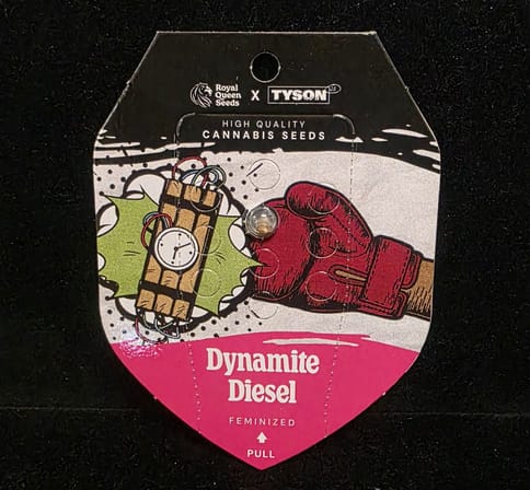 Feminized Seeds - Dynamite Diesel FEM (Royal Queen X Tyson 2.0)