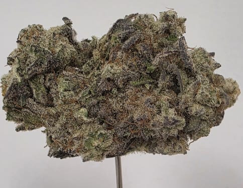 MAC 1 FLOWER