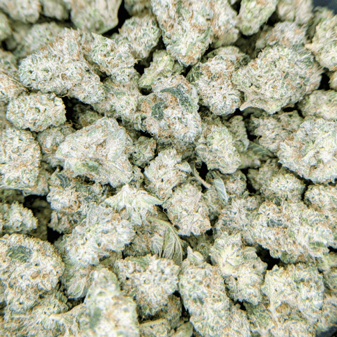 Queen of Diamonds - Deli Flower - $4/g