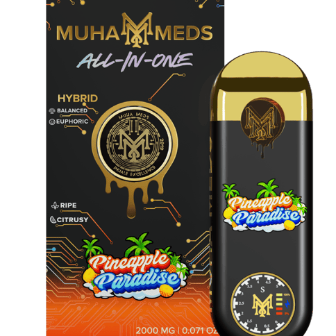 Pineapple Paradise 2g Disposable | Muha Meds