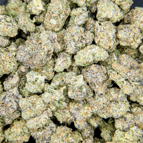 Malibu Marker - Deli Flower - $6/g