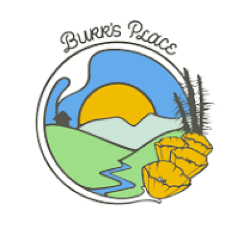 Burr's Place | Mountain Mint (S) | 3.5g Sungrown Flower