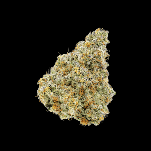 Animal Tree | Premium Flower