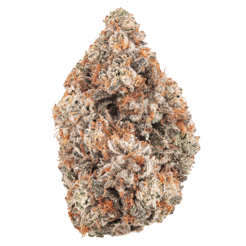 Georgia Z - 3.5G