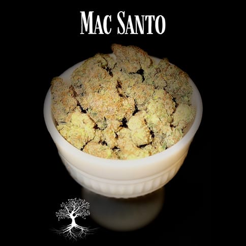 Buds - Mac Santo