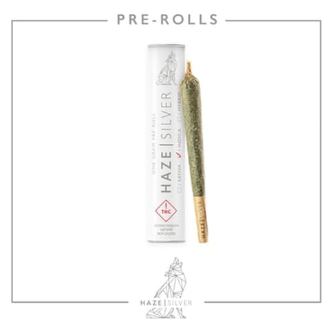 Haze Silver Pre-Roll Natty Daddy OG 1g (REC)