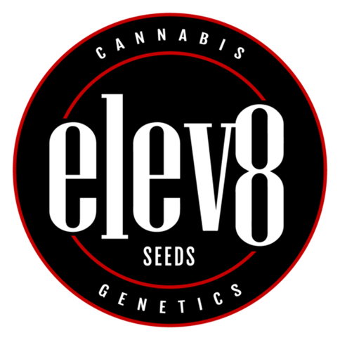 Elev8 Photoperiod Seeds 6 pk - Variety Pack 3