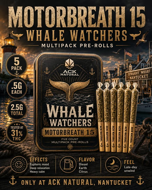 Motorbreath S26 - Whale Watchers 2.5G