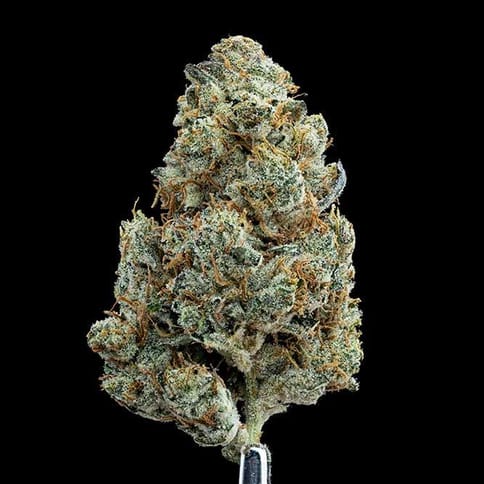 Apothecare Certified Organic East Side OG