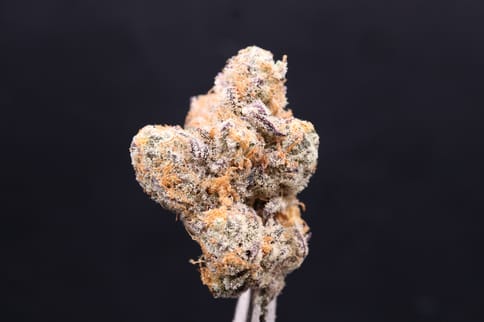Frosted Enigma (Deep Creek)