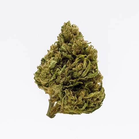 Bomb Cyclone CBD (East Fork Cultivars)