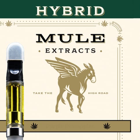 Mule M-Tec Cartridge | Turquoise Jeep 1g