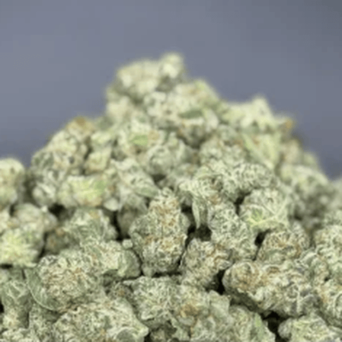 POT ZERO - GELATO - BULK COPPER TIER BUD