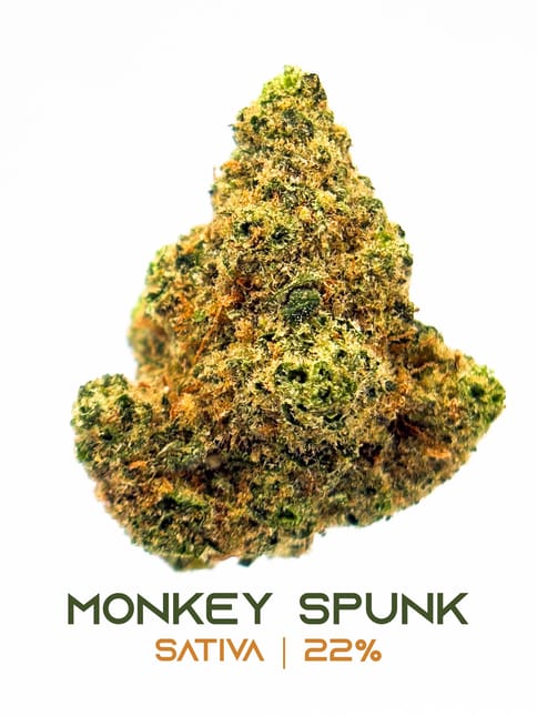 Ardo | Monkey Spunk | S | - 3.5G