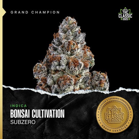 Subzero (I/H) By Bonsai
