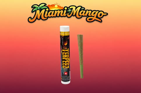 Miami Mango 1G Infused Preroll (Terpeez)