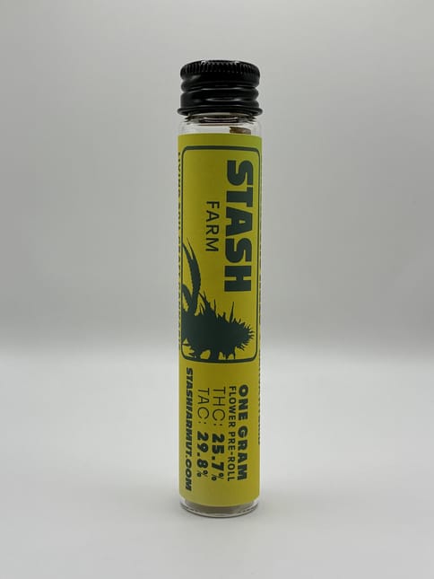 Limoncello Haze Preroll | 1g