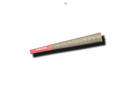 Super Lemon Haze CBD 1:1 Sativa .5g